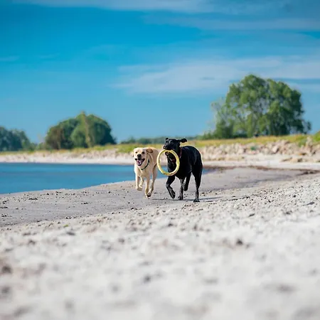 Reihenhaus Im Ostseeresort Dampland