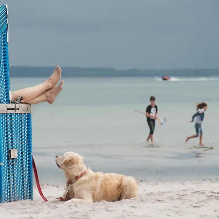 Reihenhaus Im Ostseeresort Dampland Ferienhaus *