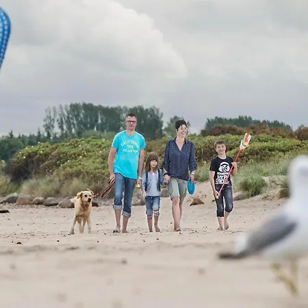 Ferienhaus Reihenhaus Im Ostseeresort Dampland Damp